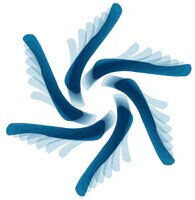 logo thumbnail
